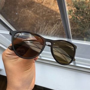 RayBan Tortoise Erika Sunglasses